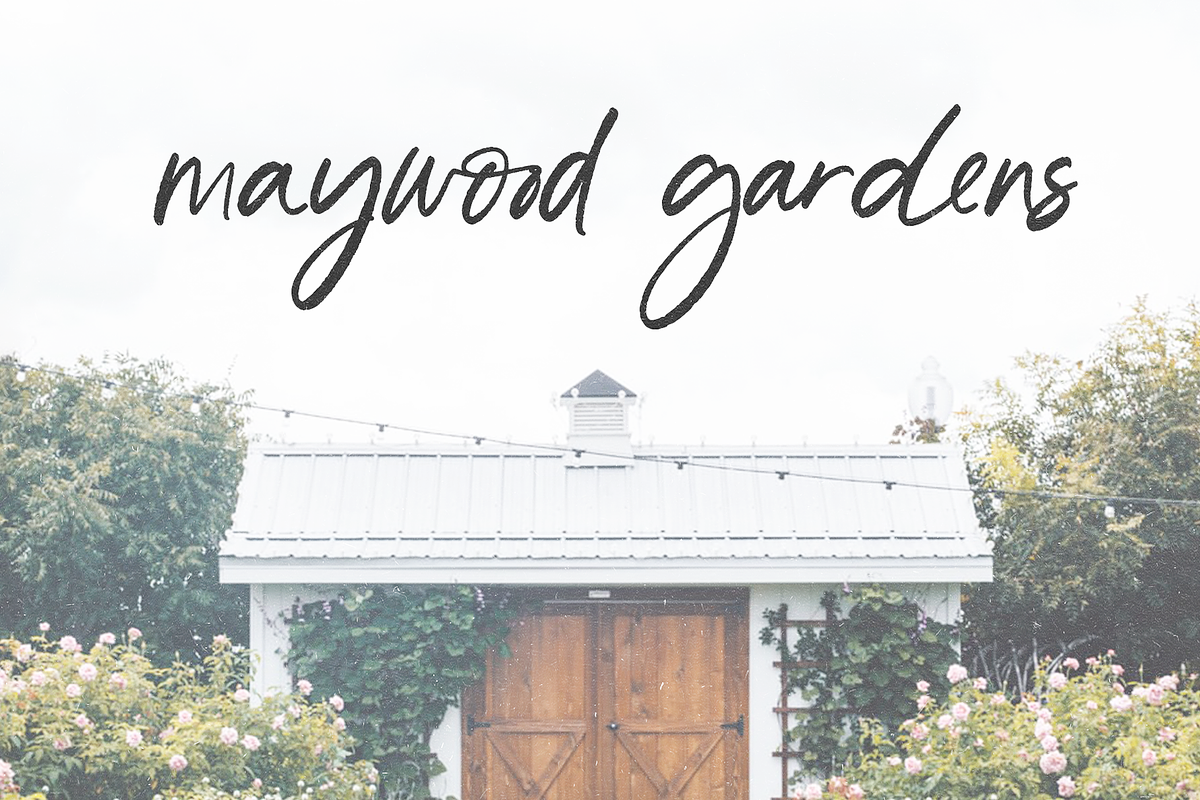 Free Spirit | Casual Script Font, a Script Font by KA Designs (Photo 10 of 17)