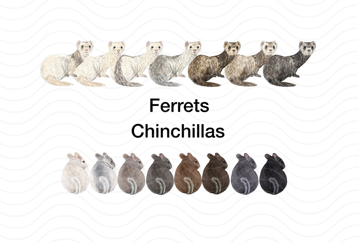 Back View Pet Mom Clipart Bundle, an Animal Illustration by ColorfulPT (Photo 4 of 8)