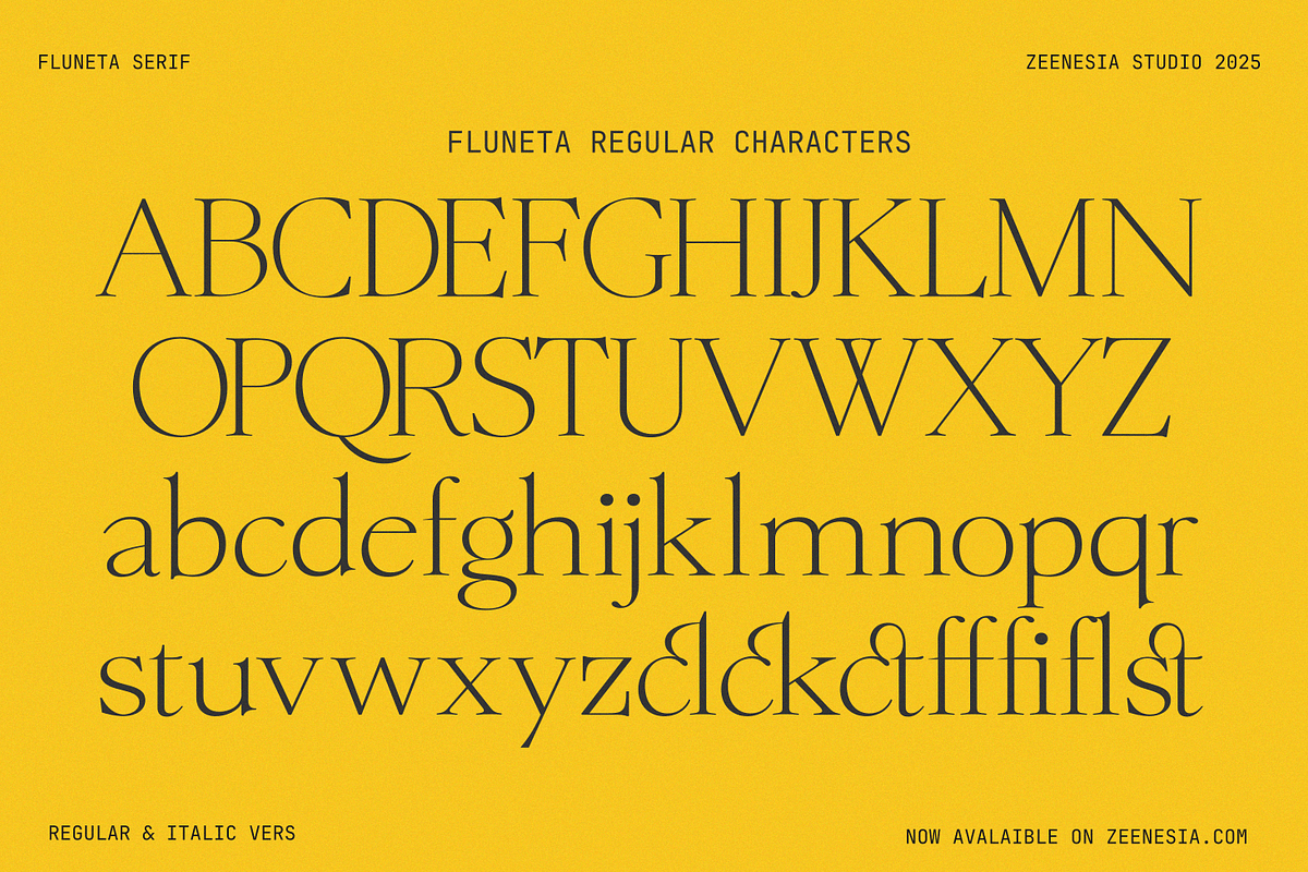 Fluneta, a Serif Font by zeenesia (Photo 19 of 21)