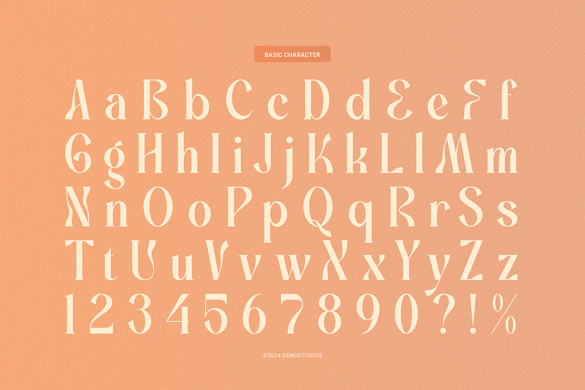 Promised Freyna Modern Display Serif, a Serif Font by Denustudios (Photo 11 of 13)