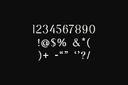 BrandStack Modern Display Font, a Serif Font by UICreative (Thumbnail 3 of 13)