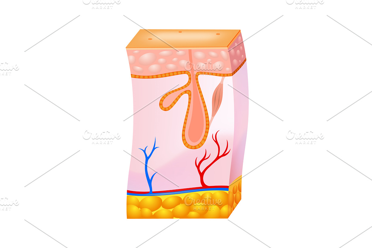 Laser hair removal procedure with, a Healthcare Illustration by the8monkey