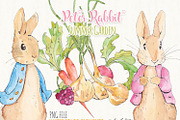 Peter Rabbit - Summer Garden, an Illustration by helloPAPER (Thumbnail 3 of 3)