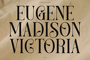 Fortun Kilfon | Modern Elegant Serif, a Serif Font by Denustudios (Thumbnail 4 of 15)