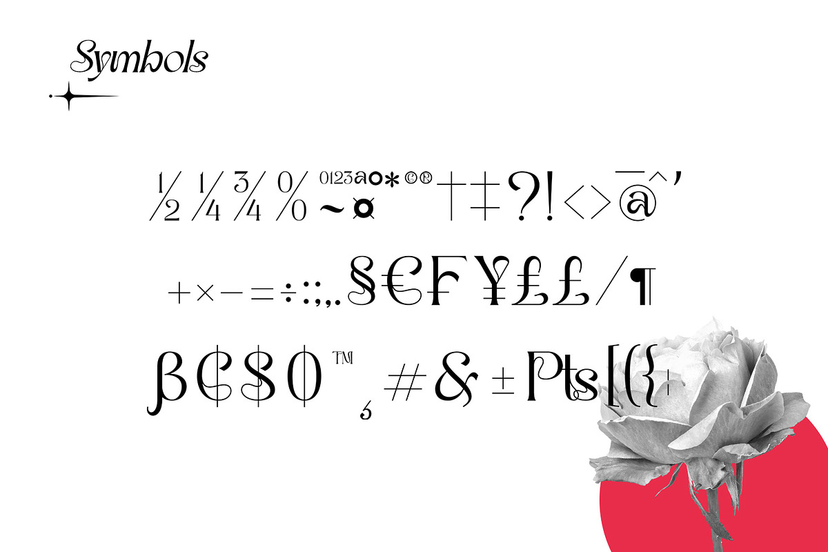 Rafailla - Display Serif Font, a Serif Font by Favo Write (Photo 12 of 13)