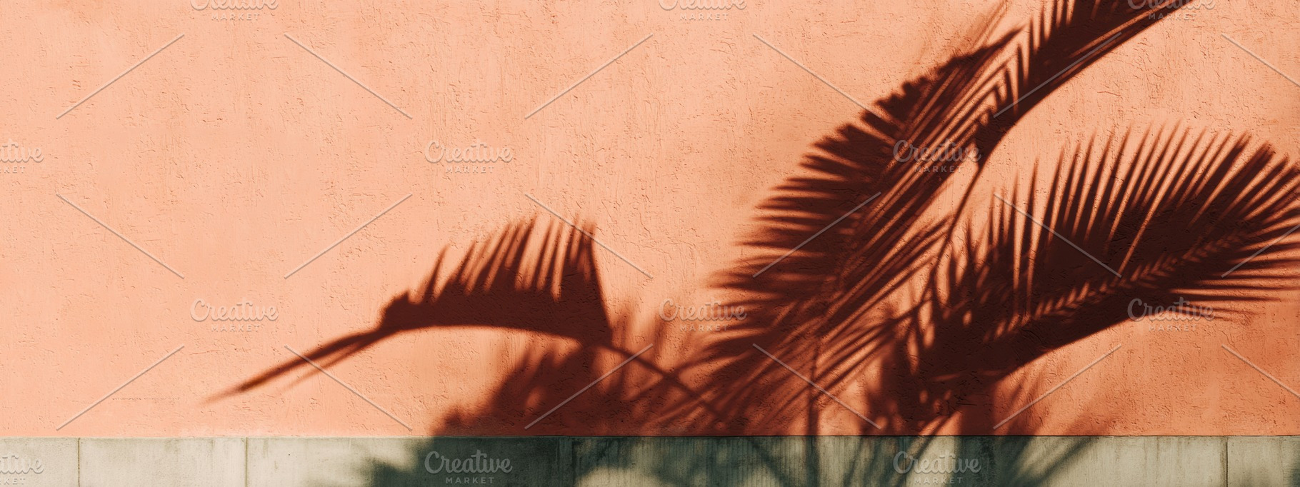 Shadow of palm leaves, concrete wall, a Nature Photo by Virgo Studio