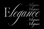 Reichamerina font family, a Serif Font by Ryul Davidson (Thumbnail 6 of 27)