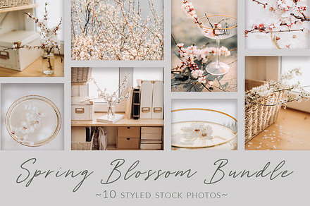 Spring Blossom Bundle