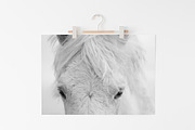 Print Holder Mockup Bundle, a Print Template by Kate Roubin (Thumbnail 7 of 9)