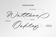 Brigend | Stylish Signature, a Script Font by Lemonthe (Thumbnail 4 of 10)