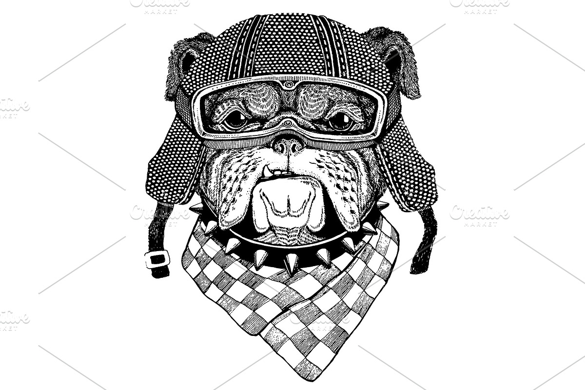 Animal wearing motorycle helmet, an Animal Illustration by Doodle