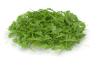 Arugula PS, an Environmental 3D Model by AndrewWhite (Thumbnail 7 of 7)