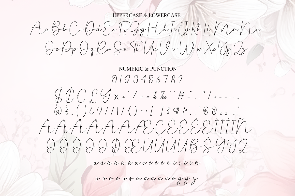 Magnolia Signature | Script Font, a Handwritten Font by Scratchones (Photo 7 of 8)