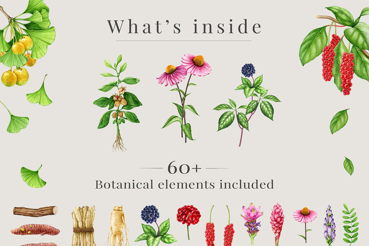 Medicinal Herbs Watercolor Clipart, a Healthcare Illustration by AnitaPol (Photo 3 of 11)