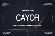 Cayofi | Elegant Luxury Serif, a Serif Font by Astuti Studio (Thumbnail 2 of 24)