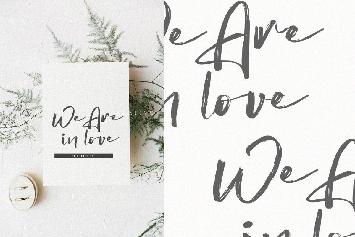 Aliters // Rough Script Font preview 6