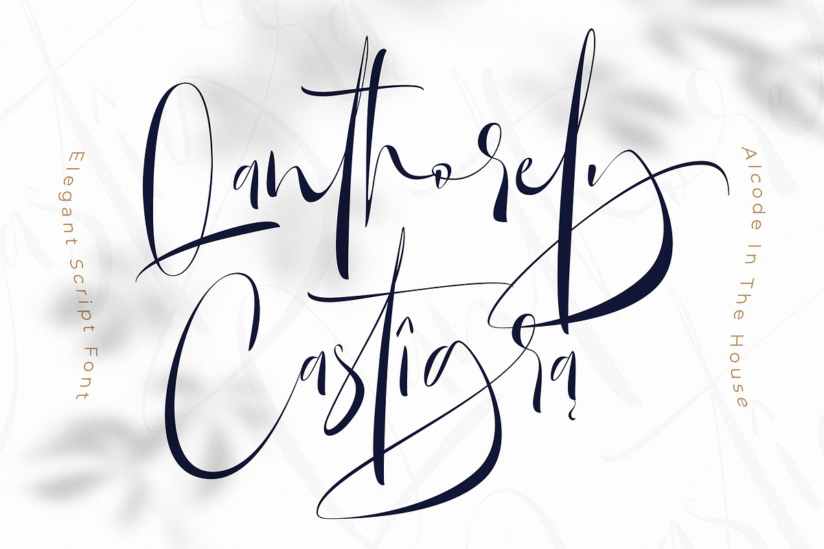 Qanthorely Castigra, a Script Font by Alcode (Photo 1 of 10)