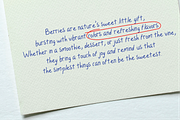 Joyberry - Handwritten Font, a Handwritten Font by imdeyaa (Thumbnail 4 of 7)