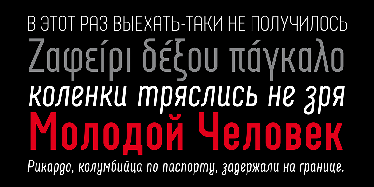 Neubau Pro, a Sans Serif Font by TipografiaRamis (Photo 5 of 11)