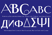 New Yorker Type - Classic and Pro, a Font by Wiescher Design (Thumbnail 2 of 7)