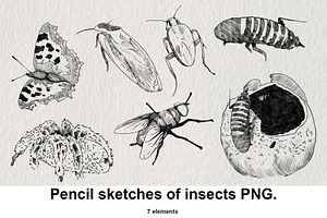 Pencil sketches of insects PNG., an Animal Illustration by LOKSKIH