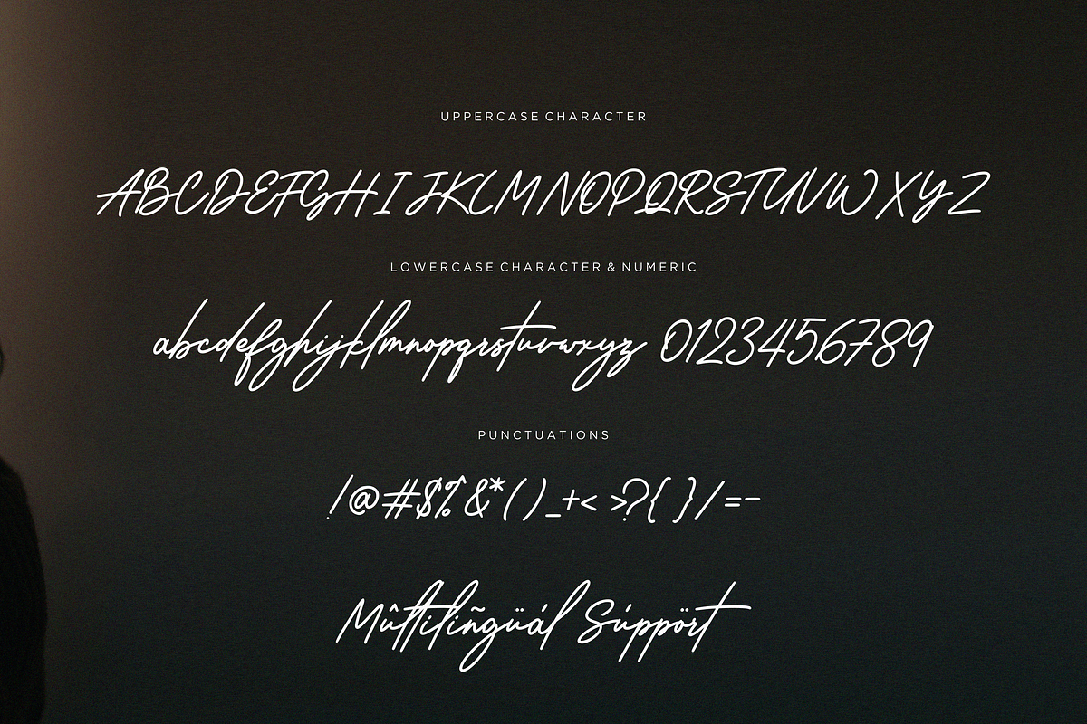Wantsignature, a Font by Essentials Studio (Photo 6 of 7)