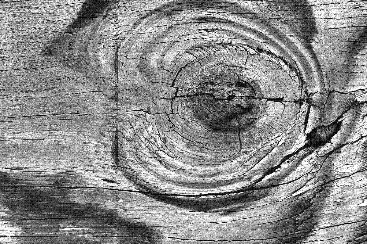 GSTC - Wood grain, a Texture Graphic by The Shop (Photo 31 of 48)