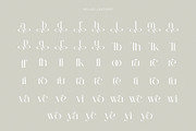 Mellos - Stylish Retro Serif, a Serif Font by GridlineType (Thumbnail 8 of 10)