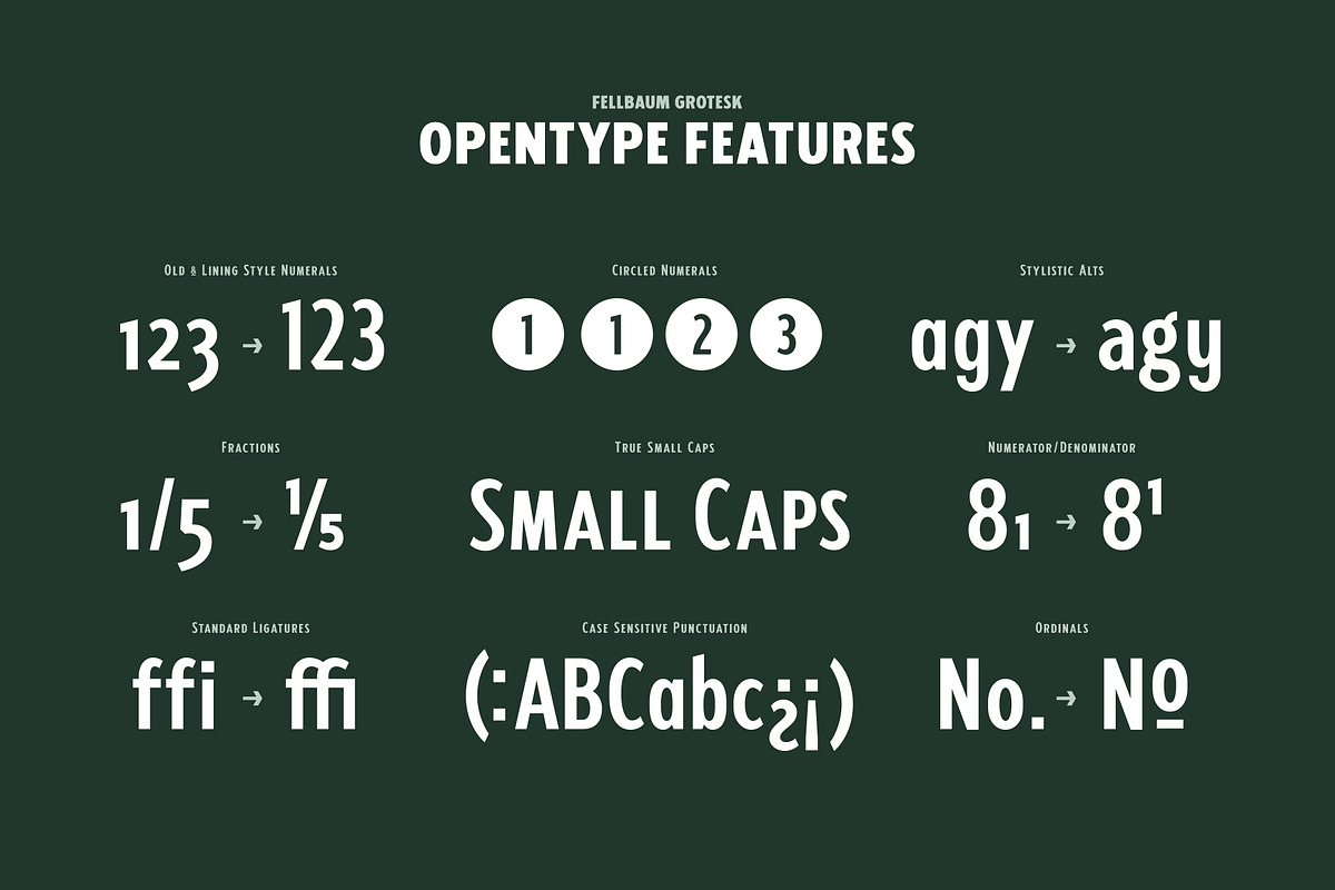 Fellbaum Grotesk Full preview 7