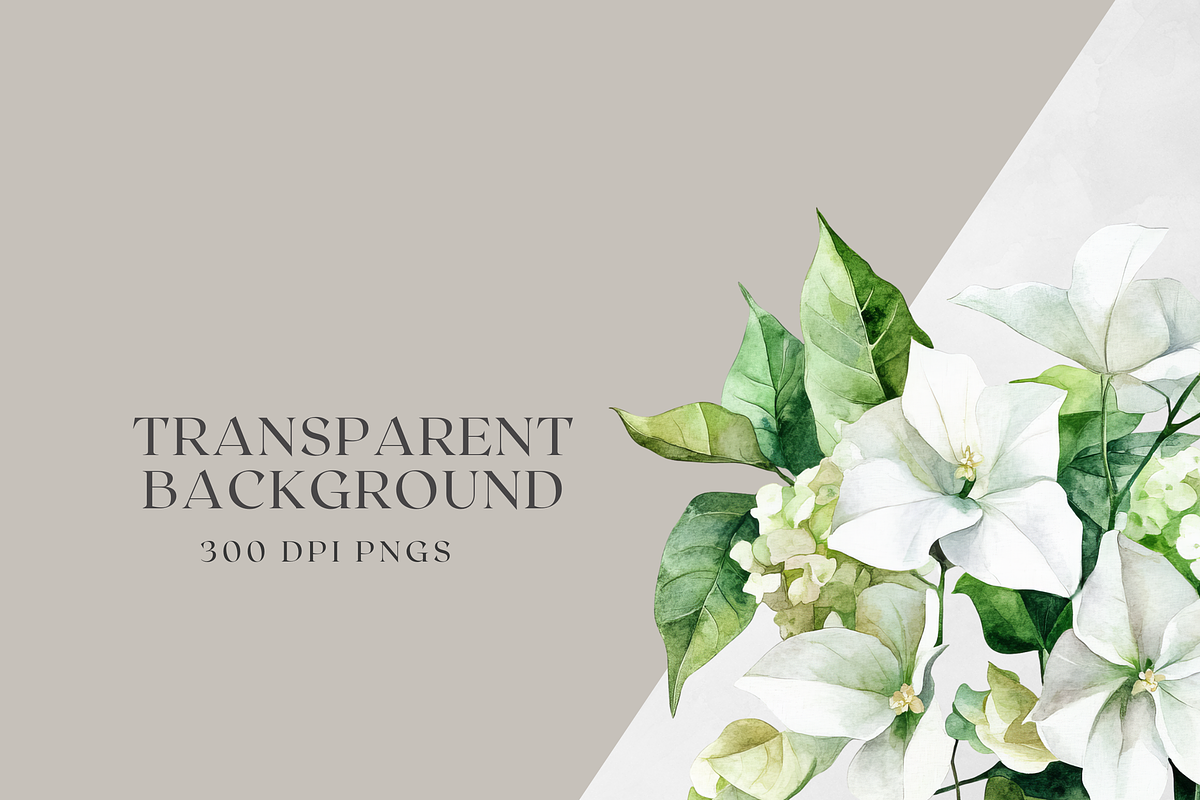 Watercolor Bougainvillea &Hydreangea, a Decorative Illustration by ThaismotaCreativeCo (Photo 11 of 11)