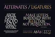 Cal Roman Modern font, a Font by Posterizer KG (Thumbnail 4 of 6)