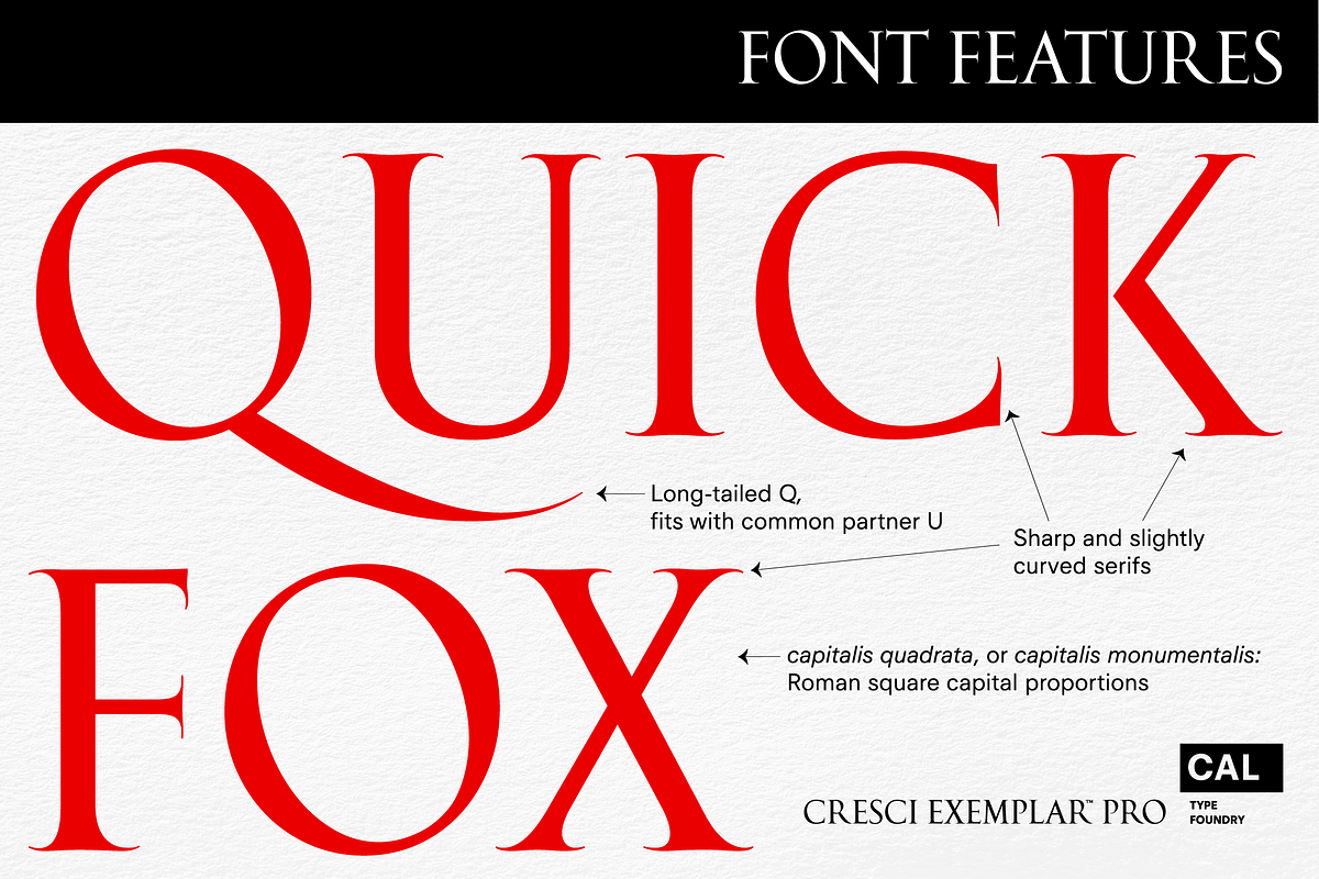 Cresci Exemplar Pro, a Serif Font by California Type Foundry (Photo 3 of 9)