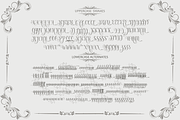 Absolut, a Script Font by Deniz86 (Thumbnail 7 of 9)