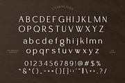 Aveneyr Versatile Typeface Font, a Sans Serif Font by Vadovastd (Thumbnail 2 of 8)