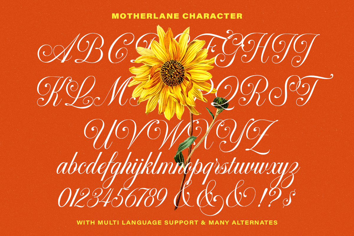 Motherlane Modern Calligraphy, a Script Font by Letterhend Studio (Photo 9 of 14)