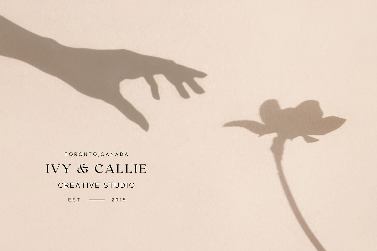 Canva Modern Aesthetic Logo Kit, a Branding & Logo Template by Forth and Wild (Photo 11 of 14)