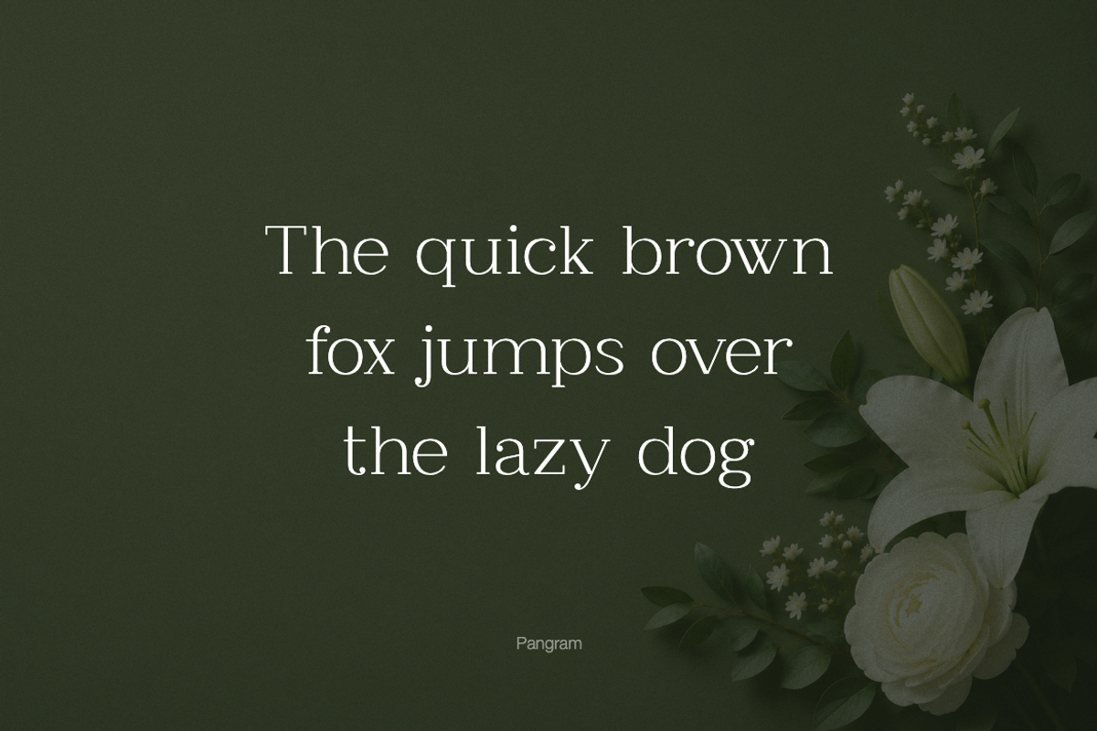 Clayton – Elegant Serif Typeface, a Serif Font by Webhance Studio (Photo 3 of 10)