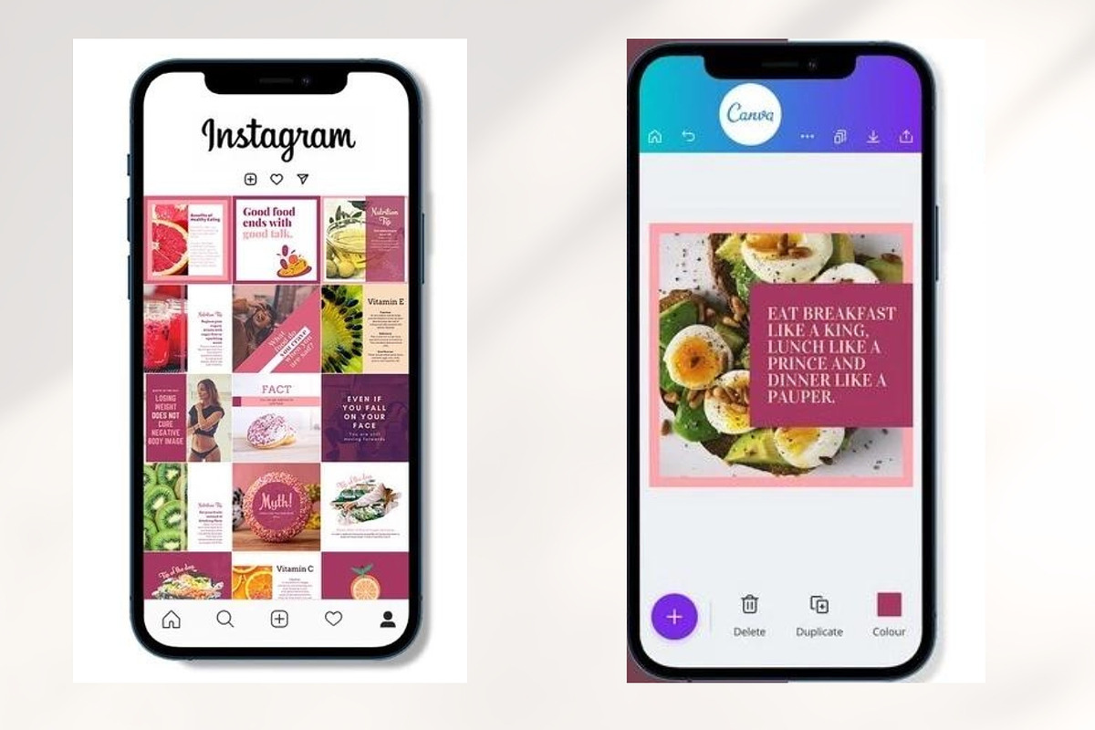 360+ Healthy Harvest Kit Template, a Social Media Template by ResumeFabs (Photo 4 of 4)