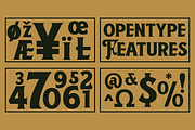 Borsnery, a Serif Font by Amera Type (Thumbnail 6 of 10)