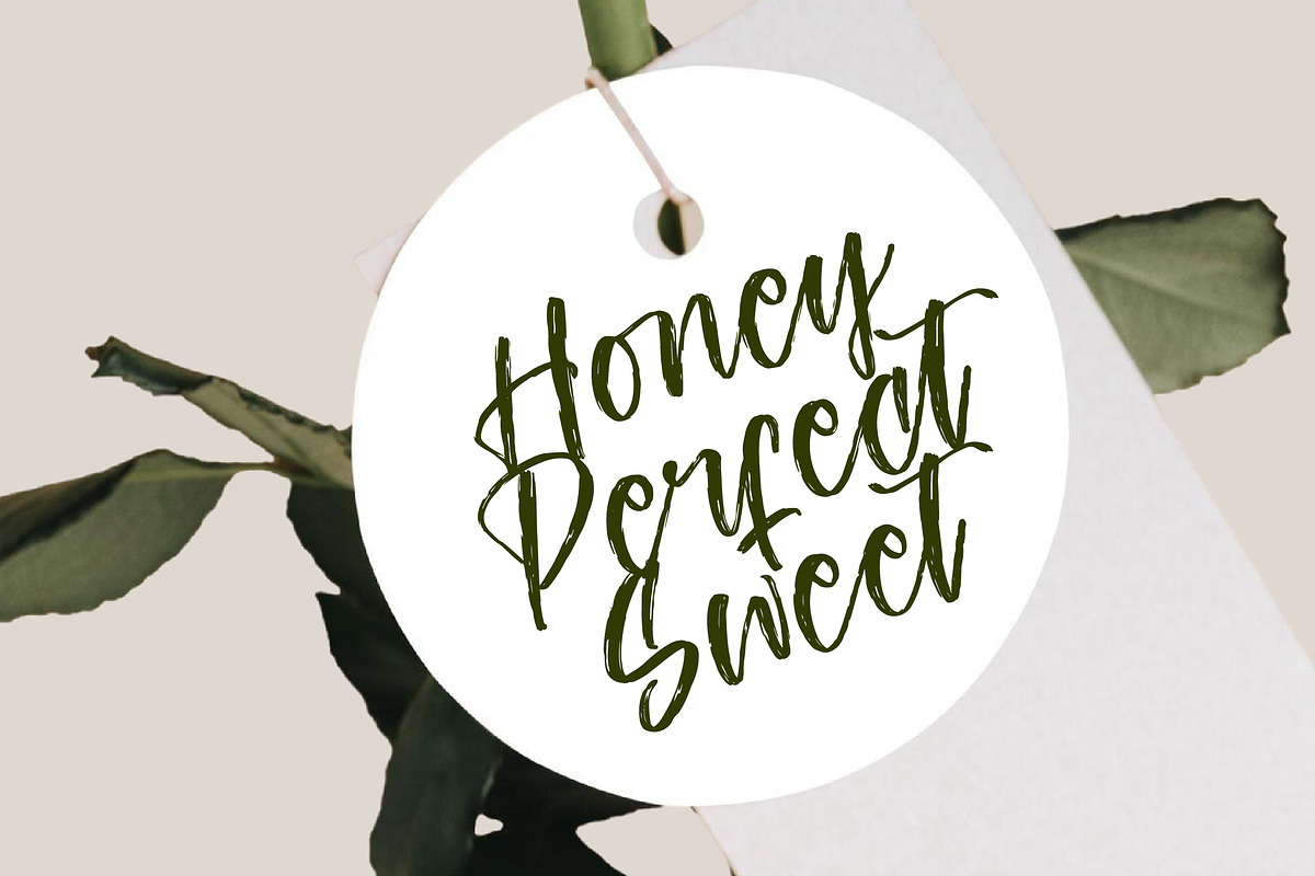 Ungkar Scripta Modern Brush Font, a Script Font by stylishtype.co (Photo 6 of 20)