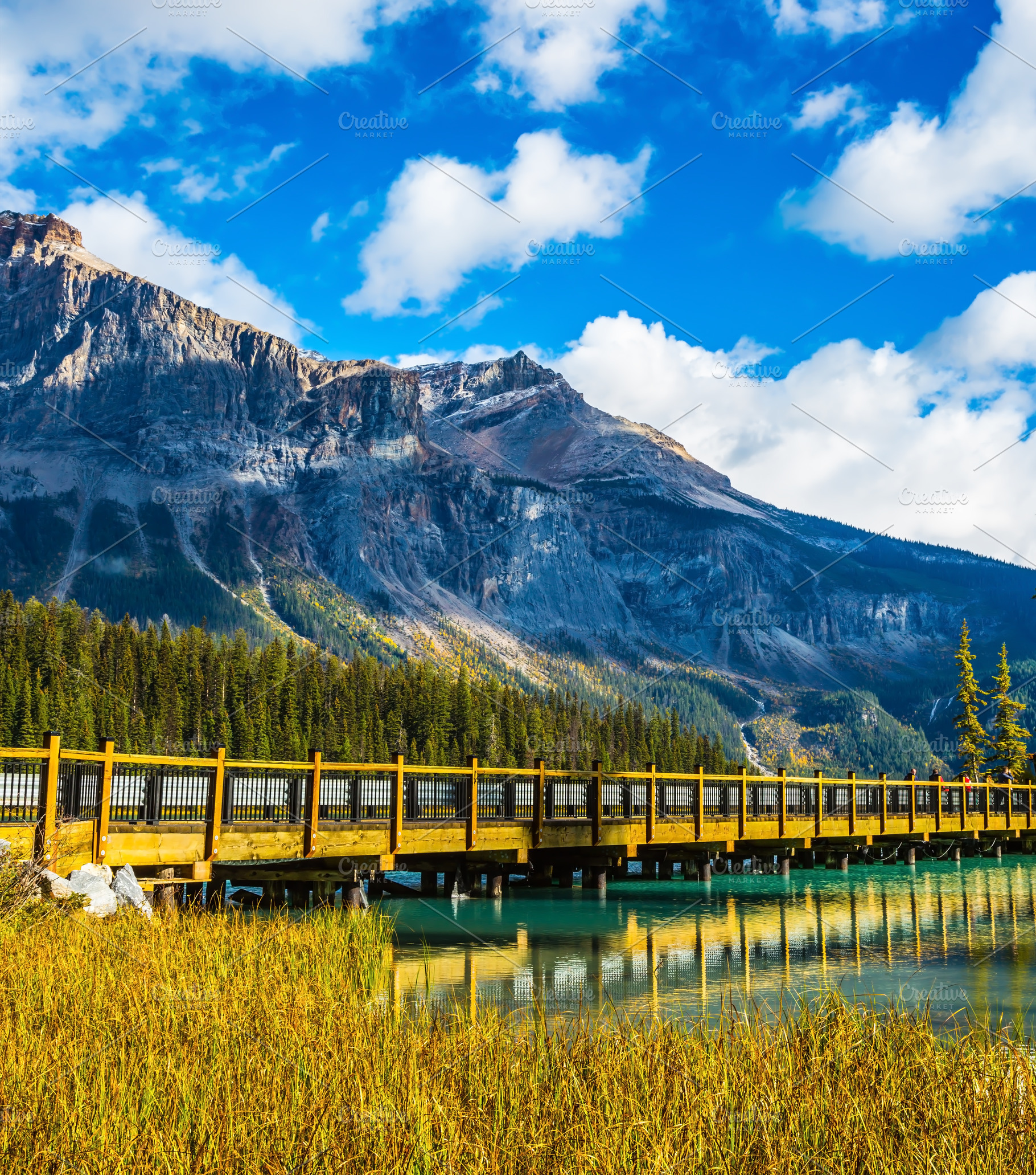 Wooden bridge over Emerald Lake, a Nature Photo by kavram