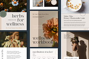 3-in-1 Canva Coaching Bundle, a Design Template by Erin Cassidy (Thumbnail 3 of 26)