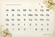 Aftersick - Display Font, a Serif Font by Prominent & Affluent (Thumbnail 5 of 10)