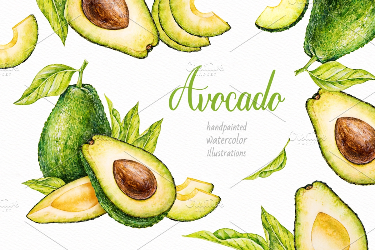 Avocado. Watercolor., a Decorative Illustration by Ekaterina Mikheeva (Photo 1 of 5)