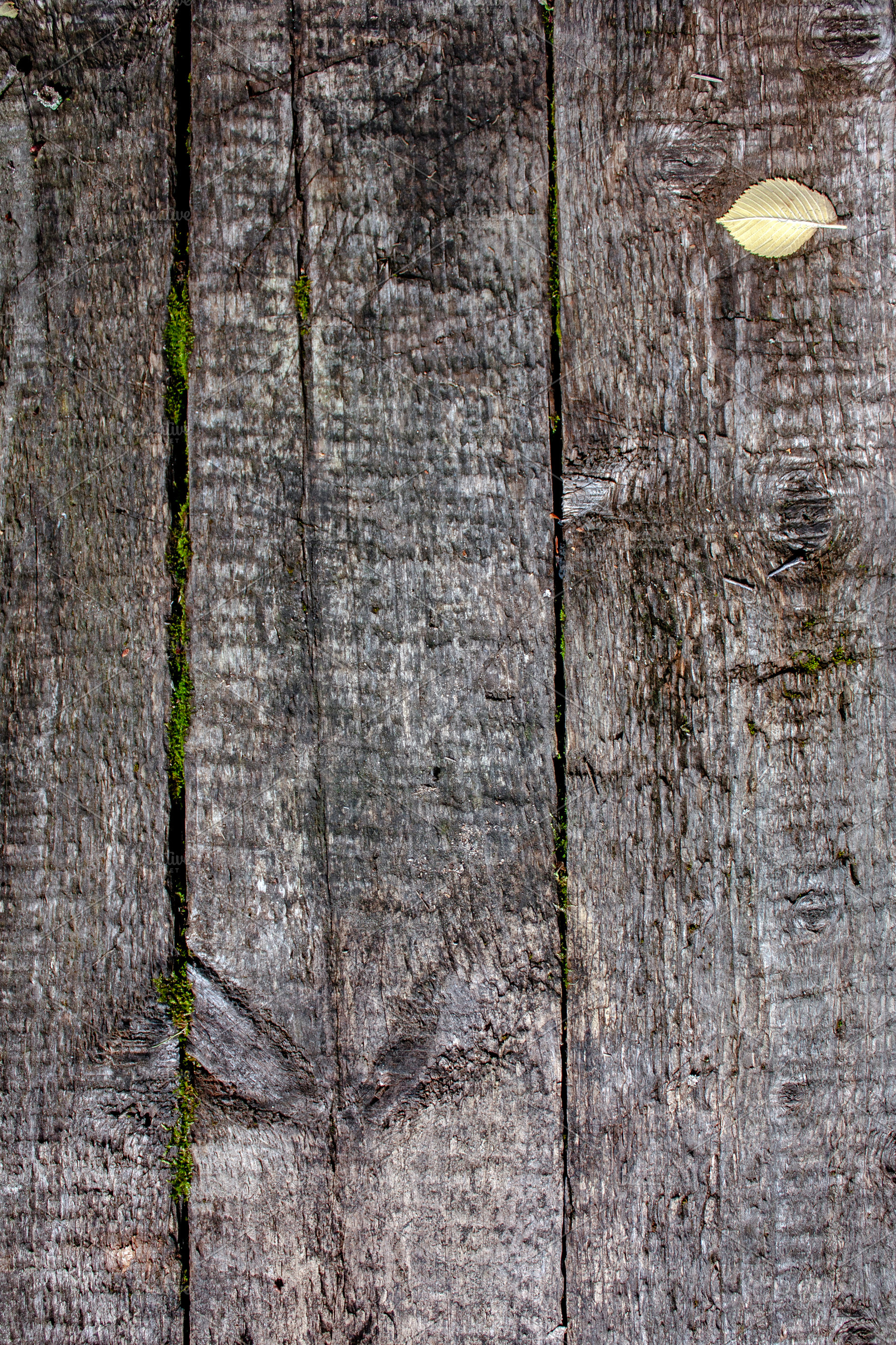 Weathered wooden planks, a Background Photo by Schreibikus
