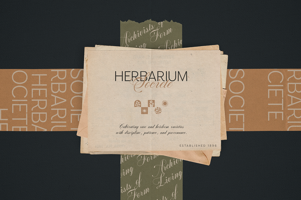 Armonia - Creative Font Duo, a Serif Font by VP Fonts (Photo 11 of 20)