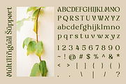 Myles Birdsie - Decorative Font, a Serif Font by Say Studio (Thumbnail 10 of 10)