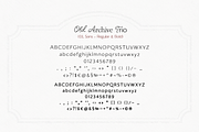 Old Archive - Vintage Font Trio, a Script Font by elvinova (Thumbnail 13 of 13)