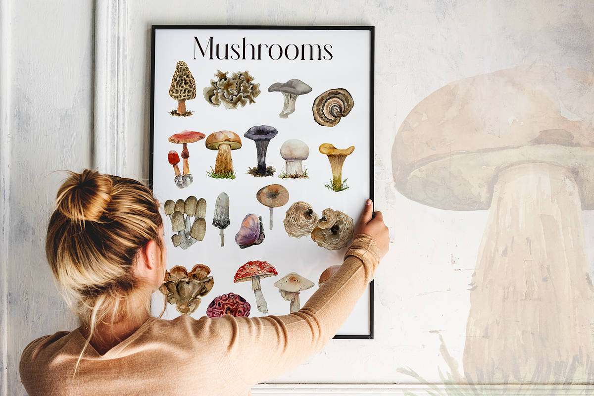 America Mushroom Watercolor Set, an Education Illustration by Tati Bordiu (Photo 4 of 6)