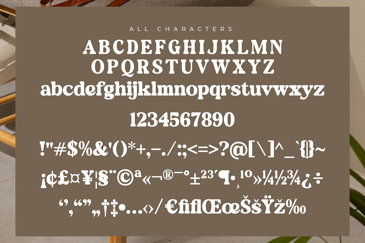 Daylist Beach Retro Serif Font, a Serif Font by Letterena Studios (Photo 13 of 15)